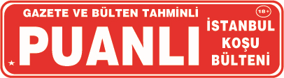 Puanlı İstanbul